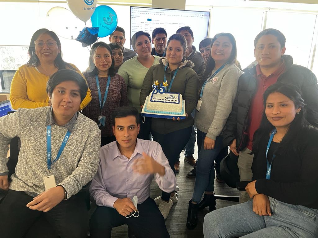 Stefanini Group 35 años
